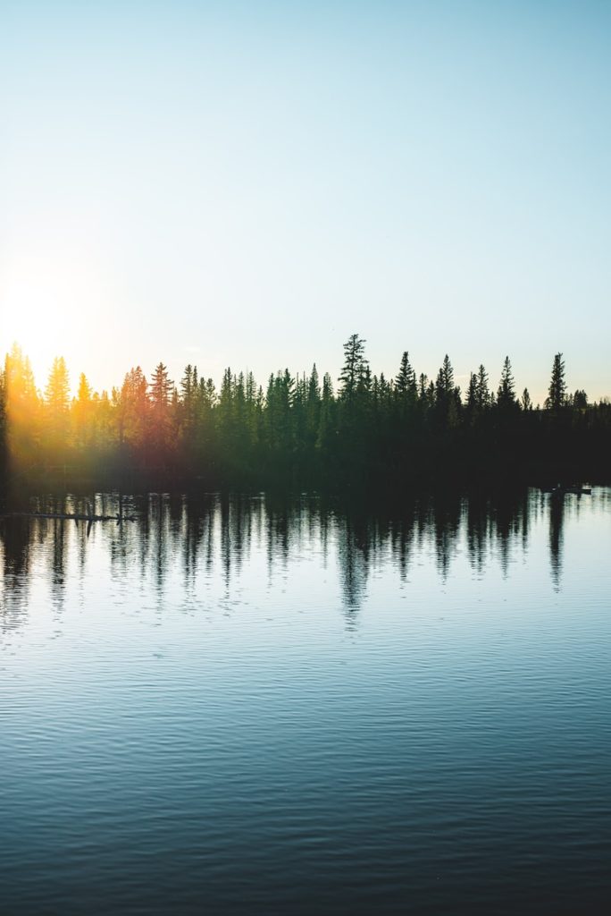 body of water near trees during daytime