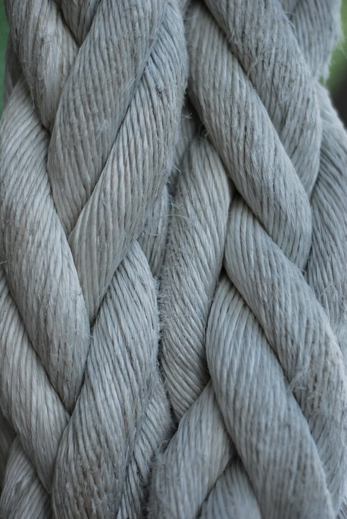 a close up of a grey elephant