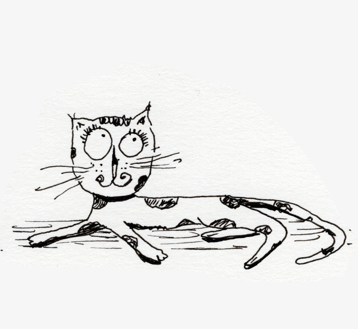 Histoire de chat